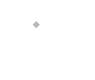 Oticon Medical